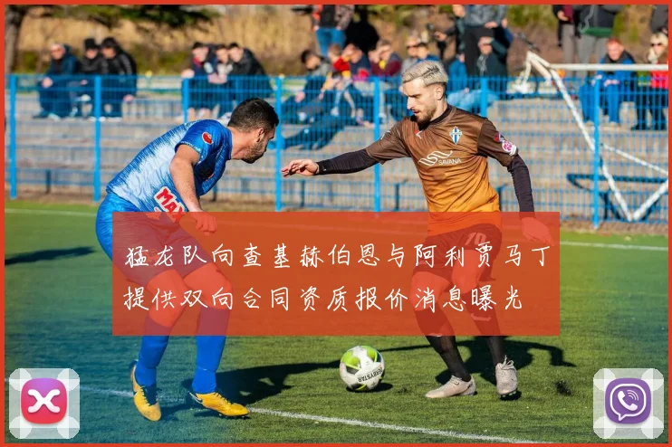 猛龙队向查基赫伯恩与阿利贾马丁提供双向合同资质报价消息曝光