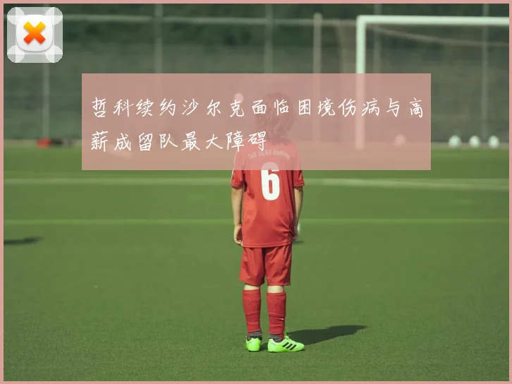 哲科续约沙尔克面临困境伤病与高薪成留队最大障碍